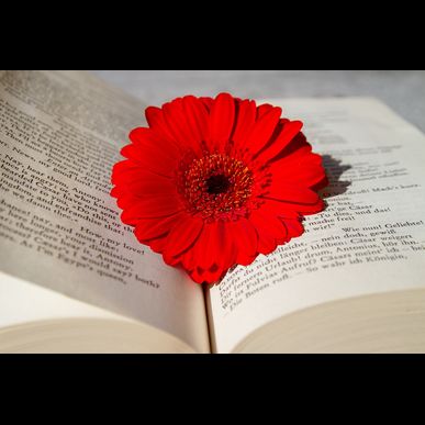 電話占い四柱推命塚原では貴方の運勢を鑑定しております